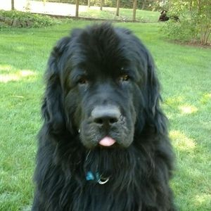 Meet your Posher, Deb